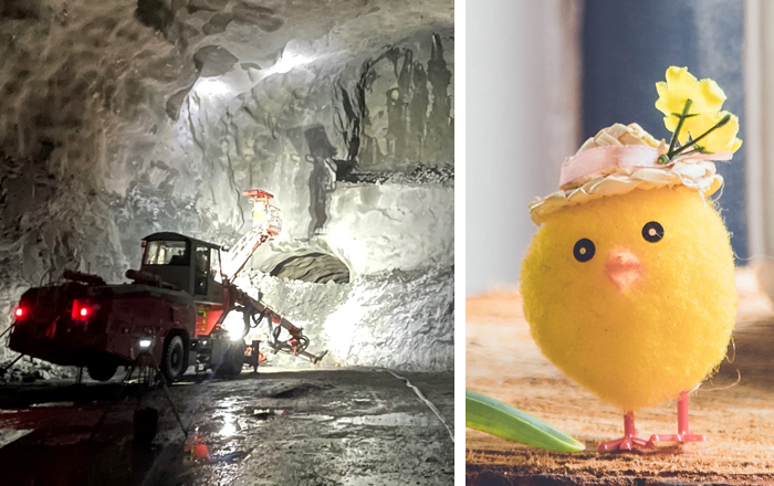 Kollage: Stor bergborrigg i tunnel och en påskkyckling