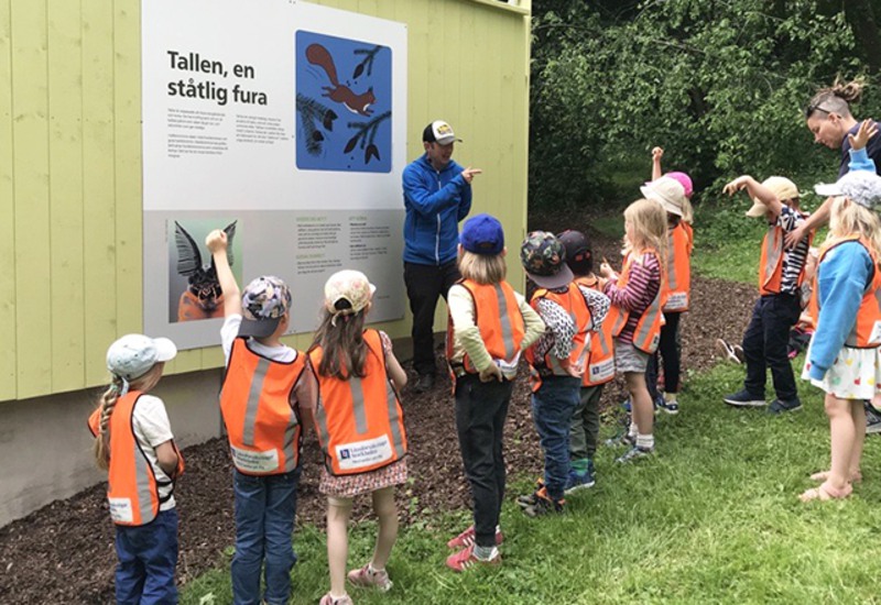 Barn från förskolan Utkiken lär sig om ekorren.