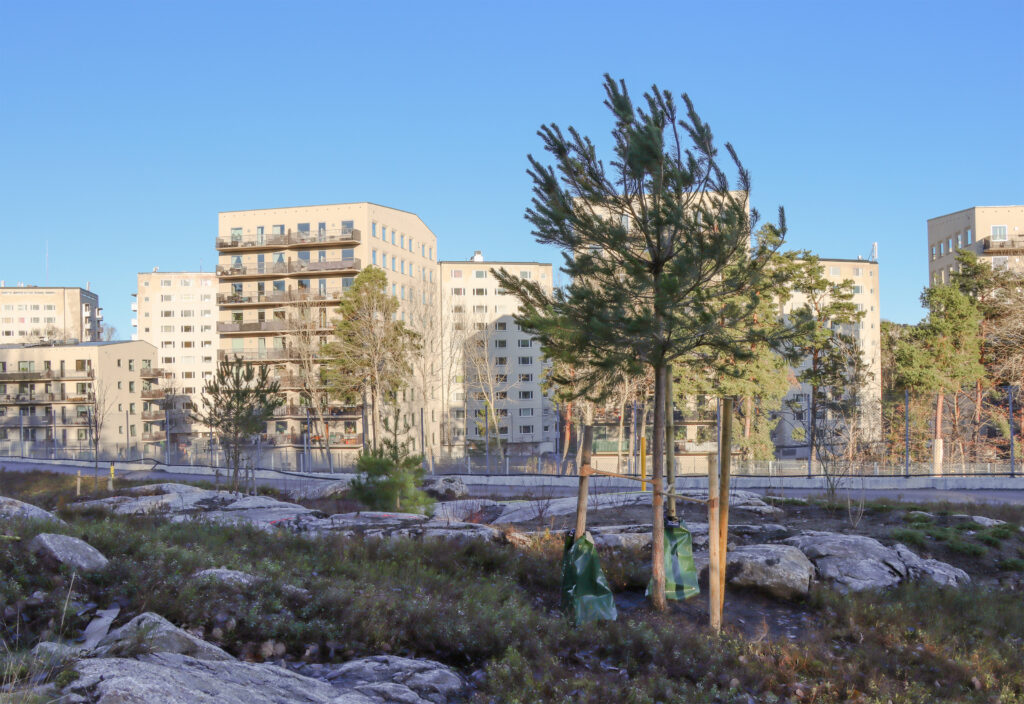 Flerfamiljshus med grönska och berghällar i förgrunden.