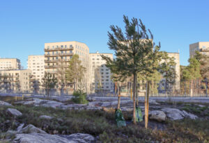 Flerfamiljshus med grönska och berghällar i förgrunden.