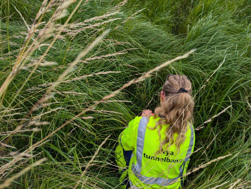 En person i gul reflexjacka med texten ”Nya tunnelbanan” sitter vänd bort från kameran i högt grönt gräs. Omgivningen består av tät vegetation.