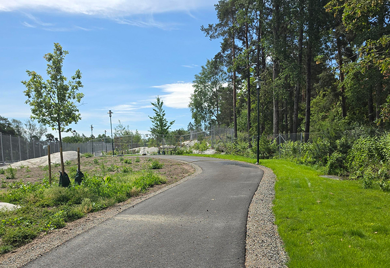 En gång- och cykelväg med gräs och träd på vardera sidor.